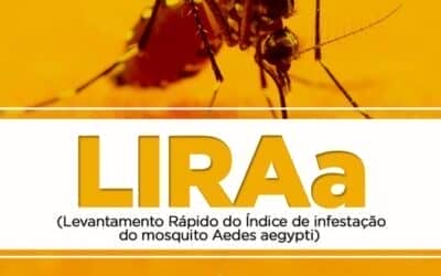 O Levantamento Rápido de Índices para Aedes aegypti: birubá em Risco Médio