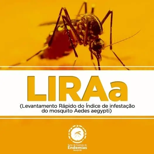 O Levantamento Rápido de Índices para Aedes aegypti: birubá em Risco Médio