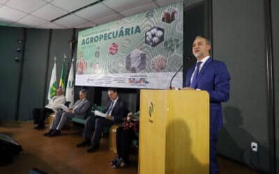 Perspectiva da Conab aponta para recuperação de área de arroz e feijão na safra 2023/24