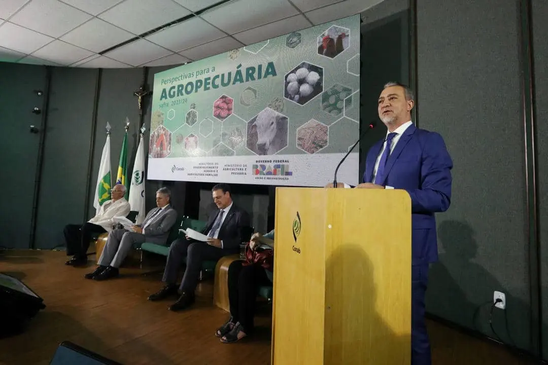Perspectiva da Conab aponta para recuperação de área de arroz e feijão na safra 2023/24