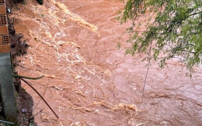 Ponte, Canil e Árvores são Arrastados pela Força da Água no Bairro Odila em Ibirubá