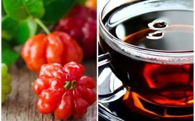 Descubra os Segredos do Chá de Pitangueira: Um Elixir de Saúde e Bem-Estar!