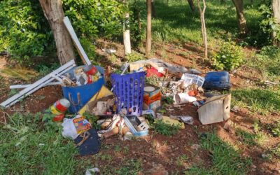 Área verde em frente à APAE de Ibirubá é alvo de descarte irregular de lixo novamente