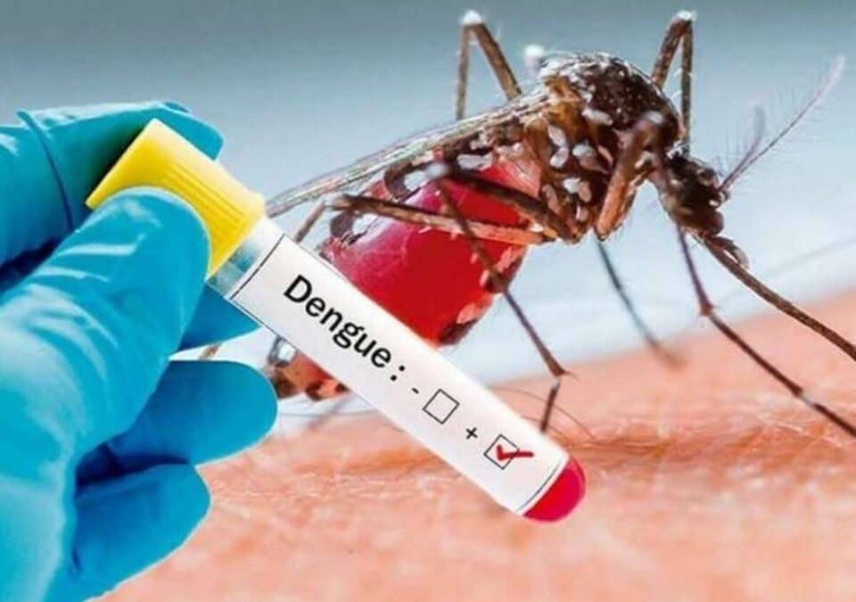 Dengue no RS: Ibirubá e Selbach em Segundo Lugar em Número de Óbitos