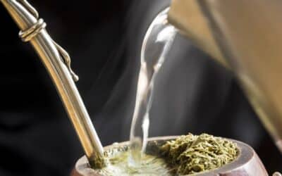 Tradição e Comunidade: 29ª Mateada do Bairro Jardim em Ibirubá