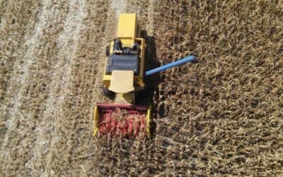 Abertura nacional da colheita da primeira safra de milho será em Ibirubá/RS