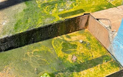 Descaso no Centro: Esgoto a Céu Aberto Entre as Ruas Mauá e General Osório Agrava Problemas de Saúde Pública