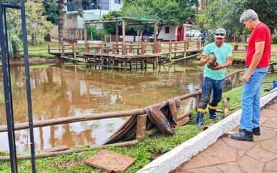 Equipe de Manutenção Age Rápido para Resolver Vazamento na Praça Maria Goreti Bertolini