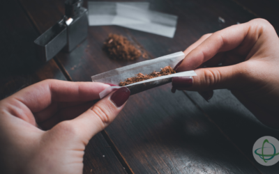 Divergências Jurídicas: STF Descriminaliza Uso Pessoal de Maconha enquanto Congresso Debate Criminalização Total