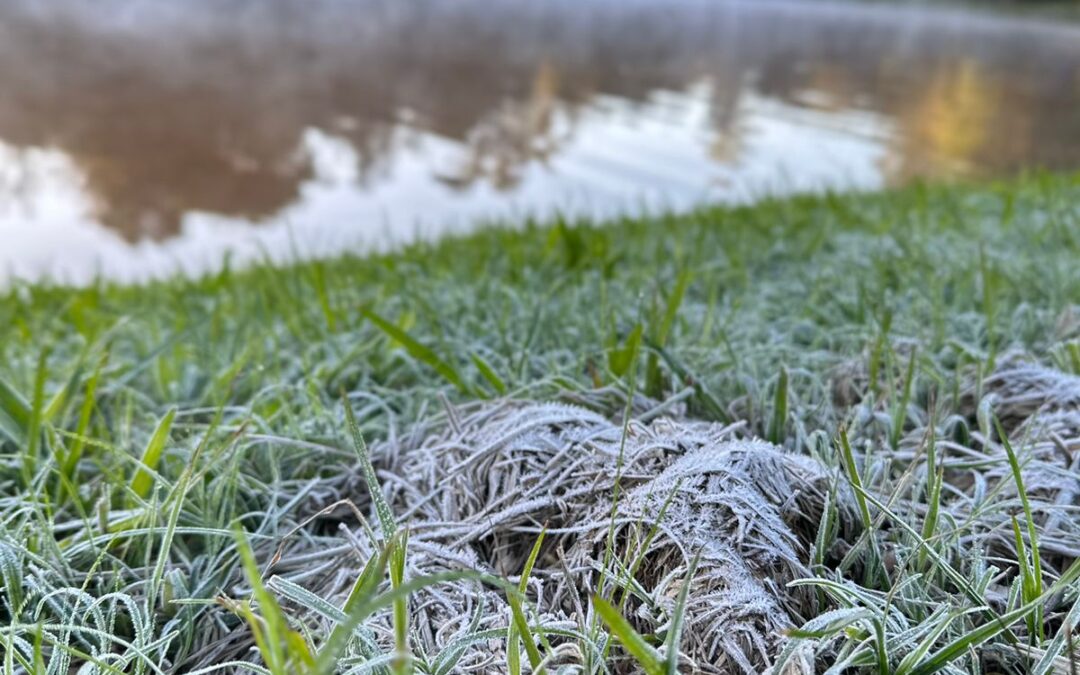 Último dia de Junho Começa com Geada Intensa: Rio Grande do Sul Enfrenta Frio Extremo