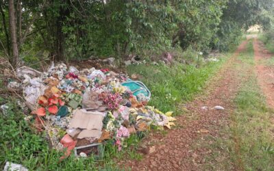 Abandono no Cemitério Católico de Ibirubá Gera Indignação e Alerta de Saúde Pública