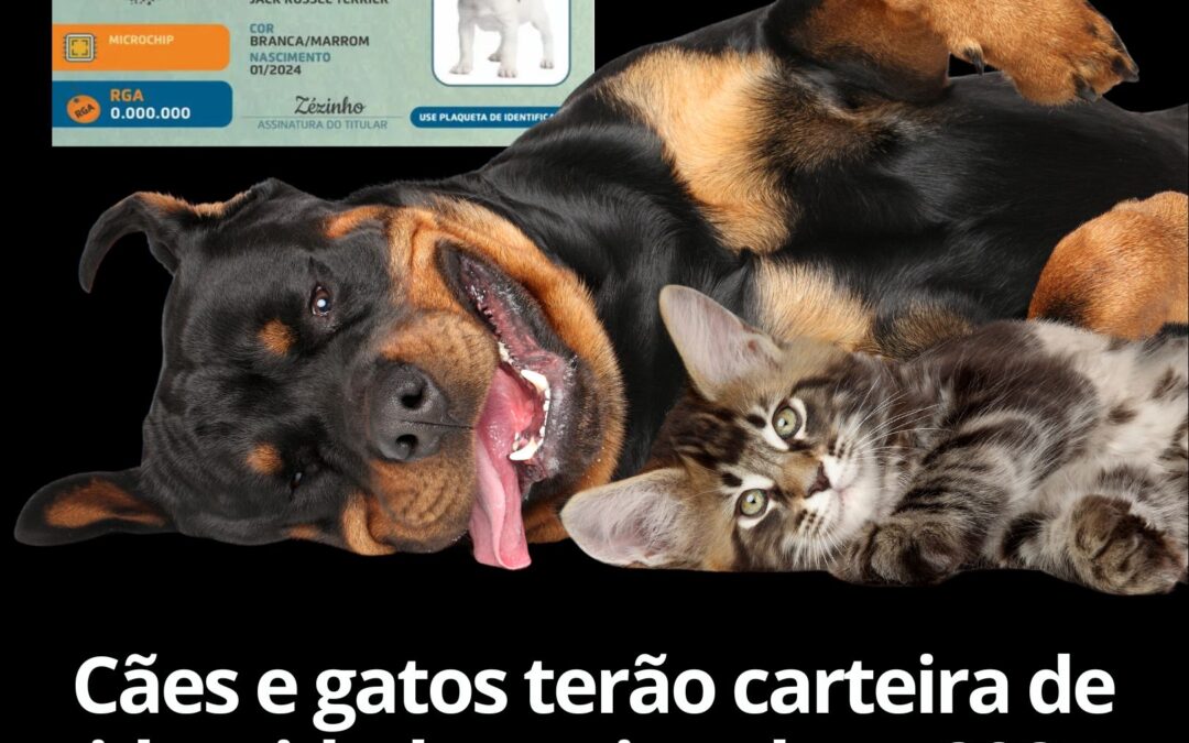 Governo cria Cadastro Nacional de Animais Domésticos
