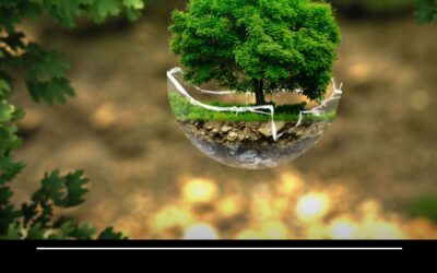 Amaja realiza 1ª Conferência Intermunicipal do Meio Ambiente