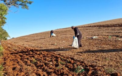 Mutirão de limpeza marca o Dia do Trabalhador em Quinze de Novembro
