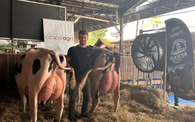 Expositor da Coopeagri conquista múltiplos prêmios na Fenasul Expoleite 2025