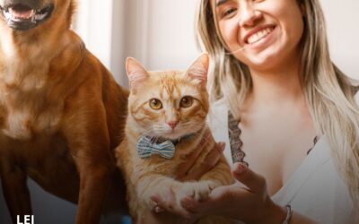 O condomínio pode proibir animais de estimação?