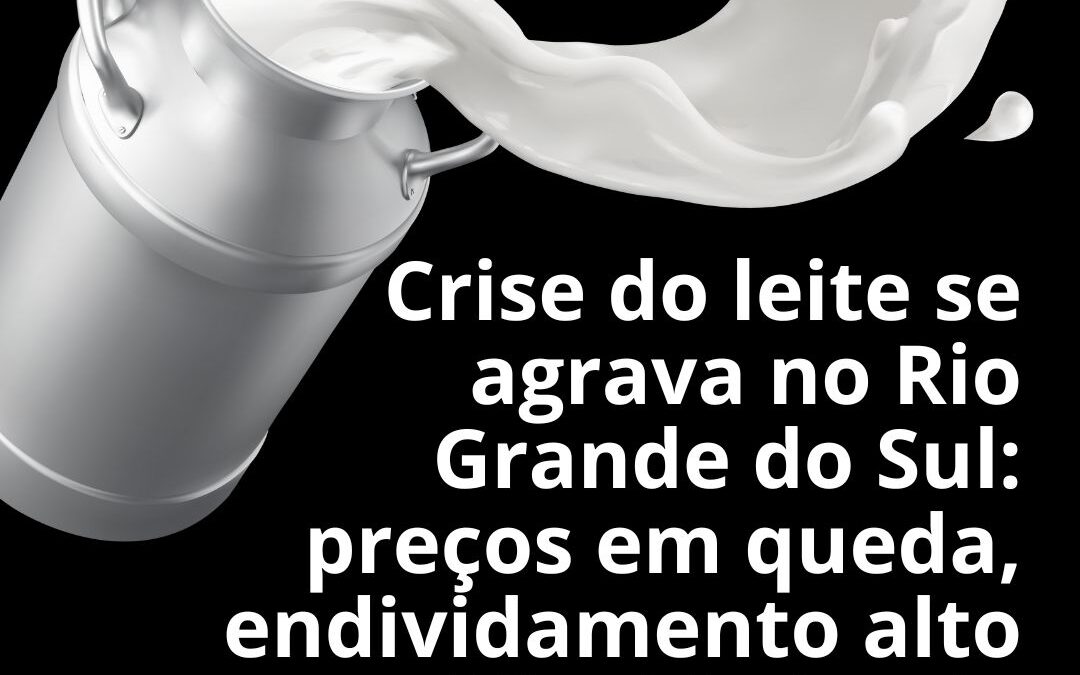 Crise do leite se agrava no Rio Grande do Sul: preços em queda, endividamento alto e dificuldades de acesso ao crédito pressionam produtores