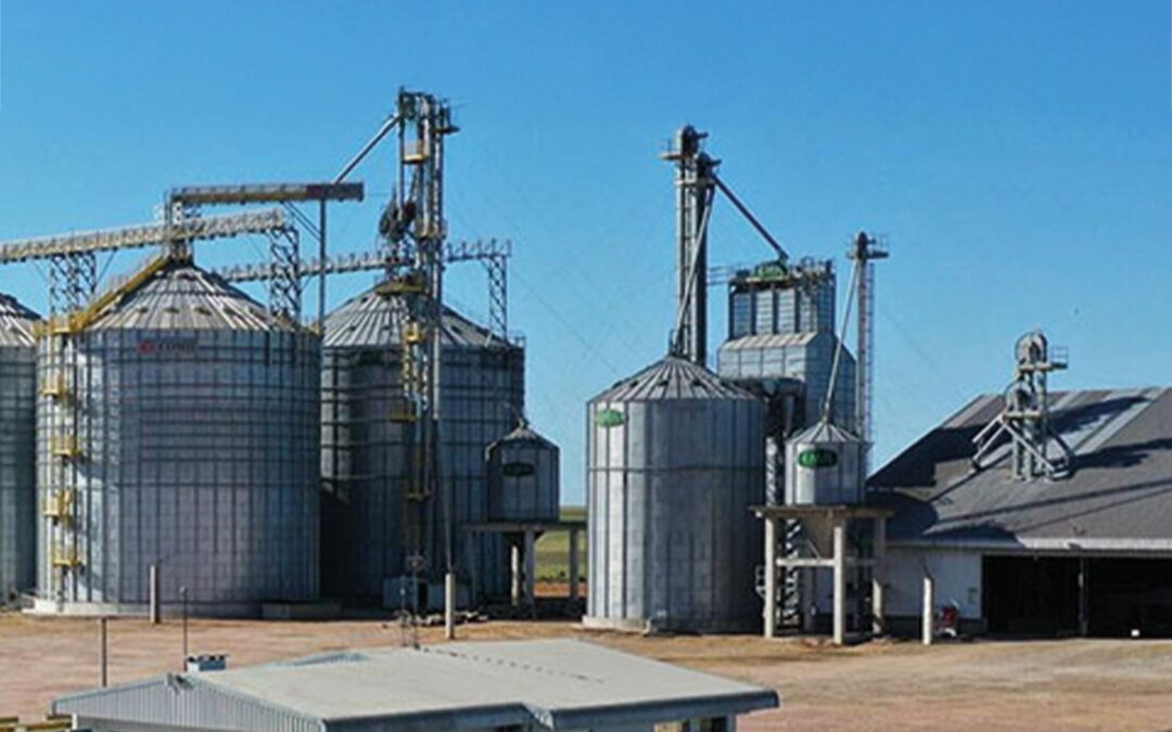 Olfar avança no RS com aquisição de unidades da Cotribá e parceria de longo prazo para recebimento de grãos