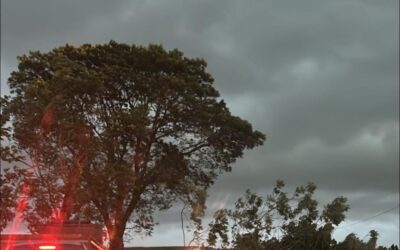 Temporal causa destruição no Norte e Noroeste do RS; Palmeira das Missões é a cidade mais atingida