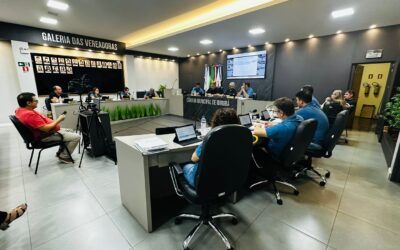 Sessão ordinária da Câmara de Ibirubá abordou projetos de denominação, meia-entrada e prevenção à violência doméstica