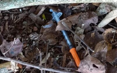 Descarte irregular de lixo contaminado coloca população em risco e acende alerta em Ibirubá