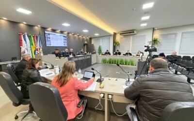 CÂMARA MUNICIPAL DE IBIRUBÁ -SESSÃO ORDINÁRIA Nº 007/202
